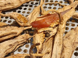 이창신님의 기타작물 · 자유게시판 작성글 사진