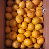 팜모닝 최근 내가 구매한 것은?·참여글 게시글 이미지