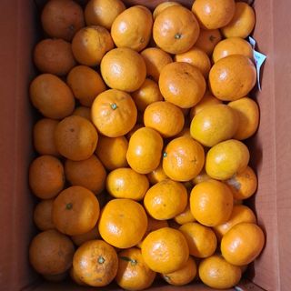 장은주님의 최근 내가 구매한 것은? · 참여글 작성글 사진