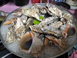 장은주님의 최근 내가 구매한 것은? · 참여글 작성글 사진