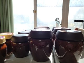 다소농원님의 자유주제 · 자유게시판 작성글 사진