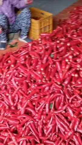 두털이님의 최근 내가 구매한 것은? · 참여글 작성글 사진