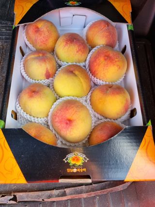 두털이님의 최근 내가 구매한 것은? · 참여글 작성글 사진