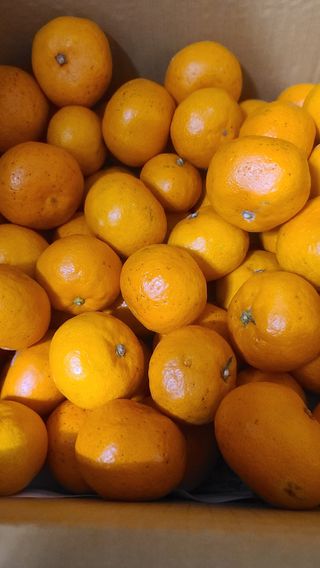 이덕훈(바쁜사람)님의 최근 내가 구매한 것은? · 참여글 작성글 사진