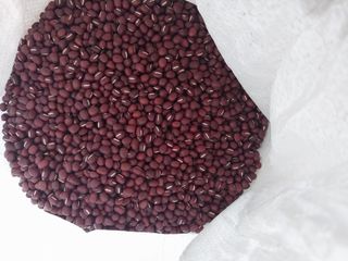 김 영심님의 최근 내가 구매한 것은? · 참여글 작성글 사진