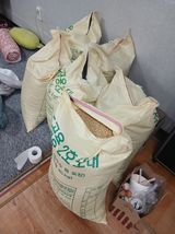 팜모닝 콩·자유게시판 게시글 이미지