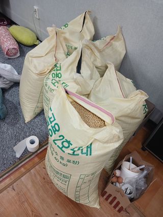 선창복님의 콩 · 자유게시판 작성글 사진