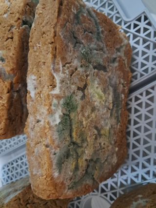 김종덕님의 농사, 무엇이든 물어보세요! · 참여글 작성글 사진