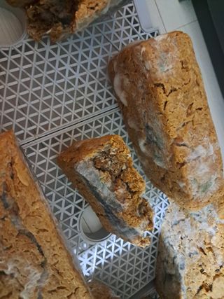 김종덕님의 농사, 무엇이든 물어보세요! · 참여글 작성글 사진