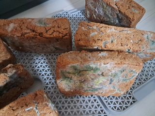 김종덕님의 농사, 무엇이든 물어보세요! · 참여글 작성글 사진