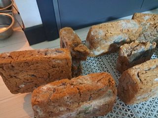 김종덕님의 농사, 무엇이든 물어보세요! · 참여글 작성글 사진