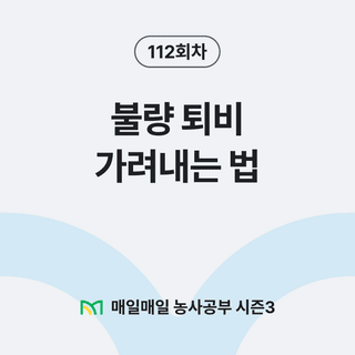 팜모닝 농사공부님의 매일매일 농사공부 · 매일매일 농사공부 작성글 사진