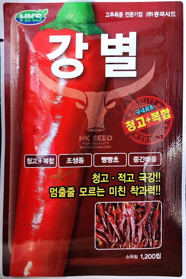 장터 상품 [24년고추씨앗] 썸네일