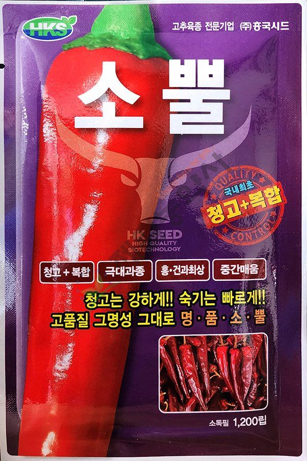 안산제일농약사님의 장터 판매 상품 [24년고추씨앗] 첨부 사진