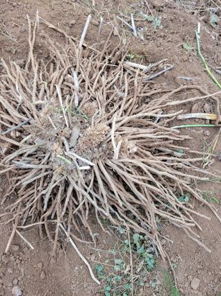 강태민님의 작성글 사진