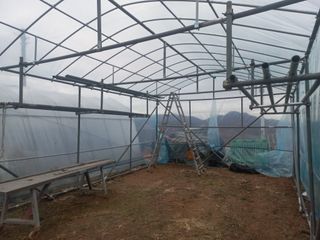 한태훈님의 자유주제 · 자유게시판 작성글 사진