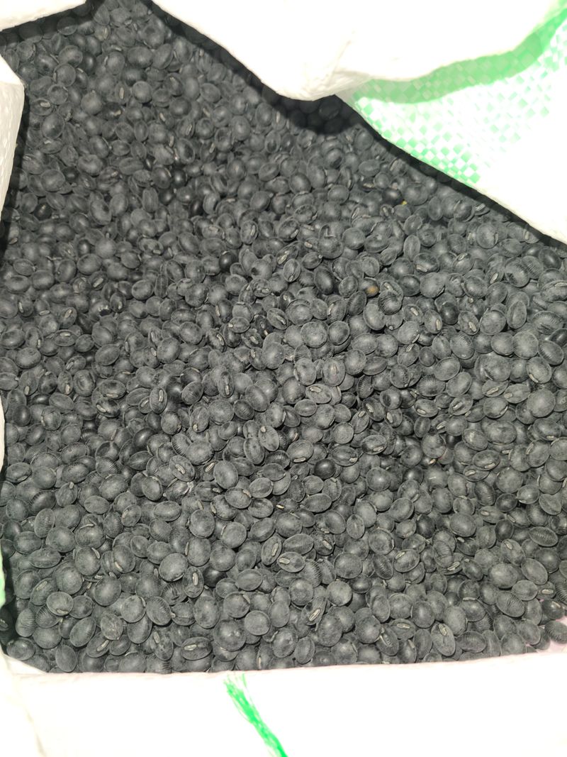 장터 상품 [서리태콩1kg] 썸네일