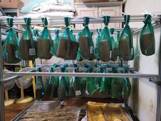 다소농원님의 자유주제 · 자유게시판 작성글 사진