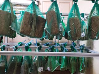 다소농원님의 자유주제 · 자유게시판 작성글 사진