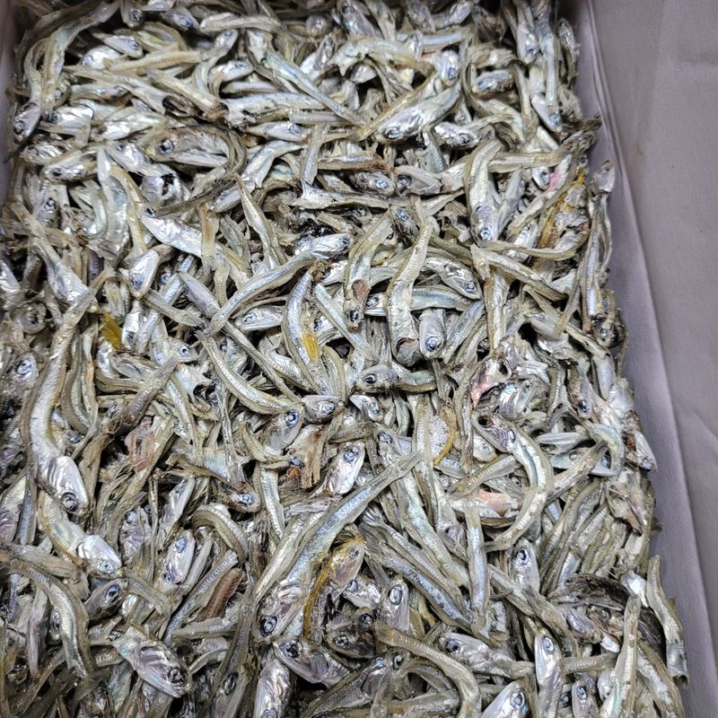 김진국님의 장터 판매 상품 [짜지 않은 완도산 멸치(가이리, 디포리) 판매합니다.+5만원이상구매시 곱창김10매추가증정] 첨부 사진