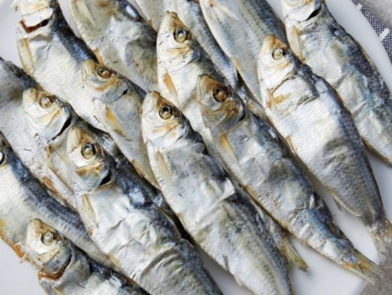 김진국님의 장터 판매 상품 [짜지 않은 완도산 멸치(가이리, 디포리) 판매합니다.+5만원이상구매시 곱창김10매추가증정] 첨부 사진