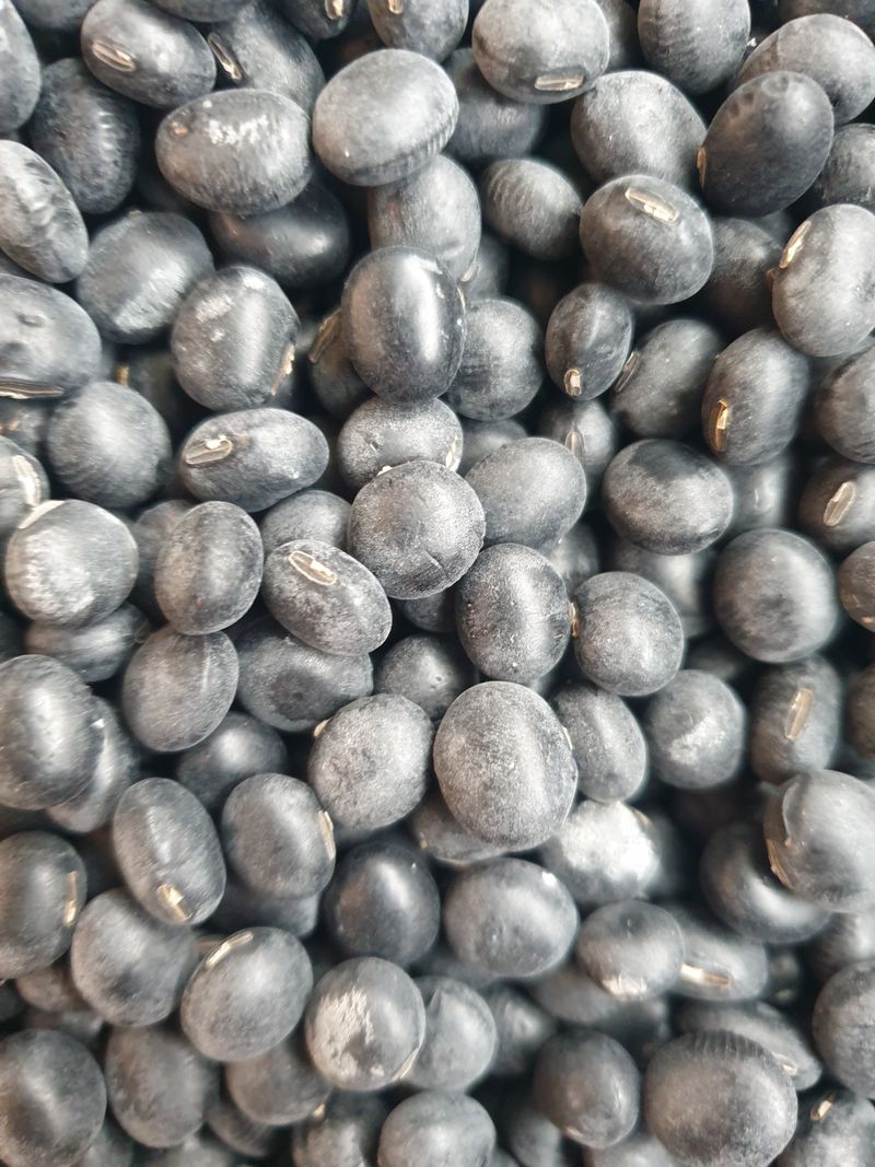 장터 상품 [친환경서리태(종료)] 썸네일