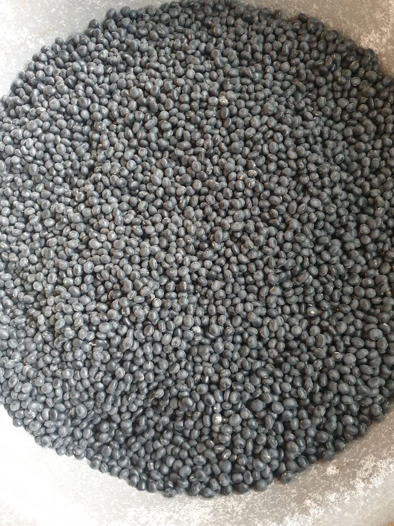 창조의신과함께님의 장터 판매 상품 [친환경서리태(종료)] 첨부 사진