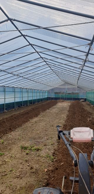 밤가시 여주농장님의 자유주제 · 자유게시판 작성글 사진