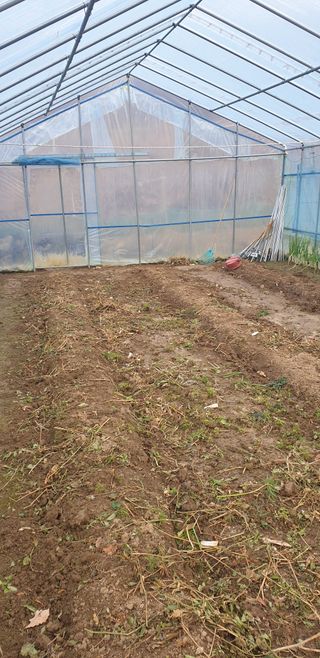 밤가시 여주농장님의 자유주제 · 자유게시판 작성글 사진