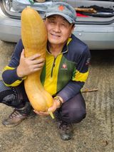 팜모닝 자유주제·자유게시판 게시글 이미지