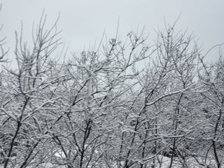 박준하님의 우리동네 · 동네자랑 작성글 사진