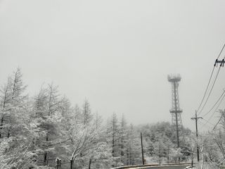 박준하님의 우리동네 · 동네자랑 작성글 사진