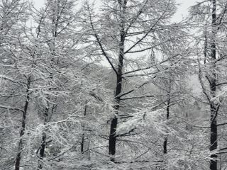 박준하님의 우리동네 · 동네자랑 작성글 사진
