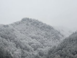 박준하님의 우리동네 · 동네자랑 작성글 사진
