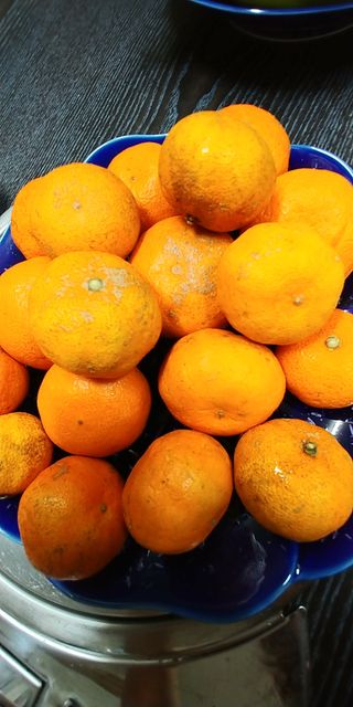 처마밑에추녀님의 최근 내가 구매한 것은? · 참여글 작성글 사진