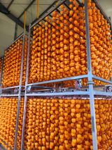 팜모닝 감·자유게시판 게시글 이미지