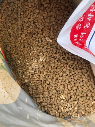 이은화님의 최근 내가 구매한 것은? · 참여글 작성글 사진