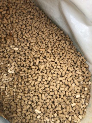 이은화님의 최근 내가 구매한 것은? · 참여글 작성글 사진