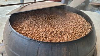 송명자님의 콩 · 자유게시판 작성글 사진