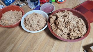 송명자님의 콩 · 자유게시판 작성글 사진