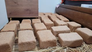 송명자님의 콩 · 자유게시판 작성글 사진