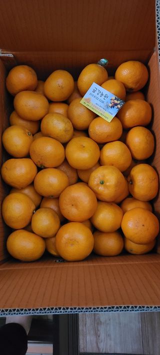 풀잎사랑님의 최근 내가 구매한 것은? · 참여글 작성글 사진