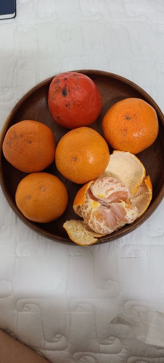 풀잎사랑님의 최근 내가 구매한 것은? · 참여글 작성글 사진