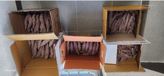 접시꽃님의 기타작물 · 자유게시판 작성글 사진