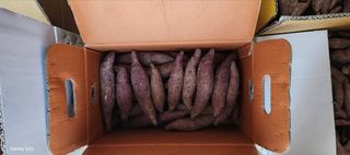 접시꽃님의 기타작물 · 자유게시판 작성글 사진