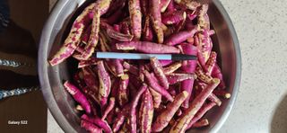 접시꽃님의 기타작물 · 자유게시판 작성글 사진