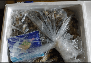 달맛햇복숭아농원님의 최근 내가 구매한 것은? · 참여글 작성글 사진