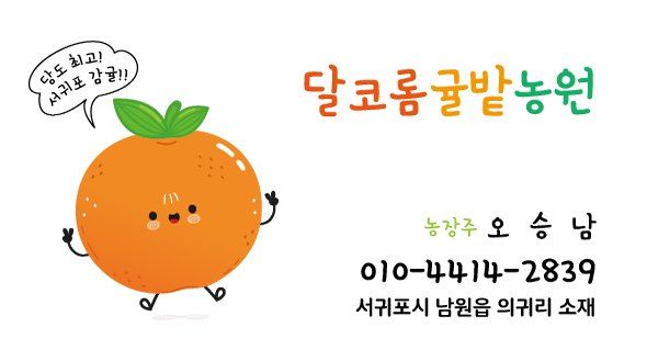 서귀포달코롬감귤농원님의 장터 판매 상품 [서귀포 저농약 조생귤 상품] 첨부 사진