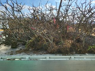 김옥균 님의 자유주제 · 사진전 작성글 사진