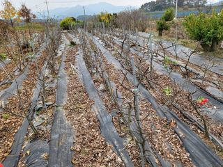 김옥균 님의 자유주제 · 사진전 작성글 사진